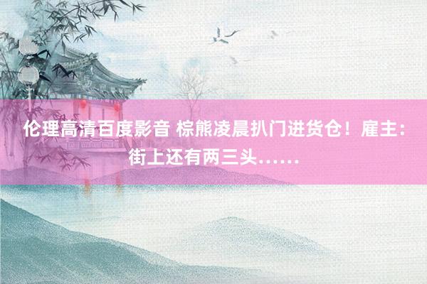 伦理高清百度影音 棕熊凌晨扒门进货仓!雇主:街上还有两三头……