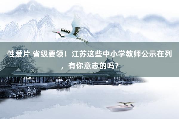 性爱片 省级要领！江苏这些中小学教师公示在列，有你意志的吗？