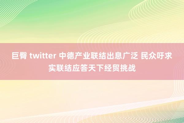 巨臀 twitter 中德产业联结出息广泛 民众吁求实联结应答天下经贸挑战