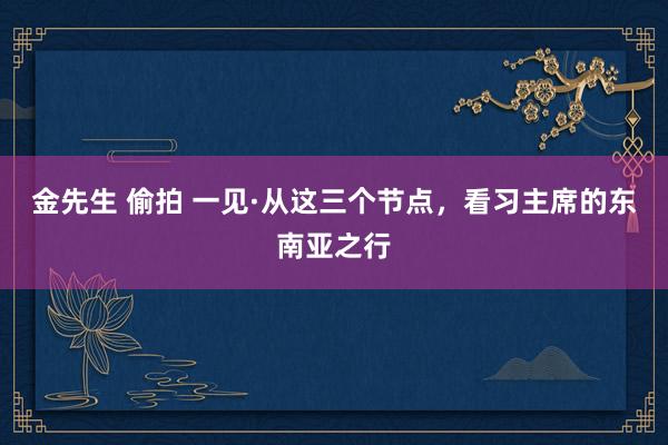 金先生 偷拍 一见·从这三个节点，看习主席的东南亚之行