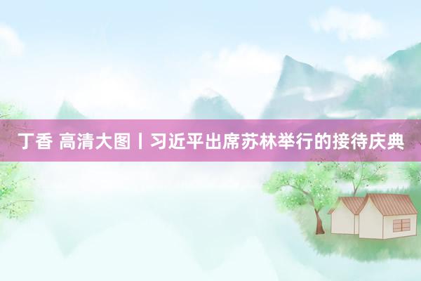 丁香 高清大图丨习近平出席苏林举行的接待庆典