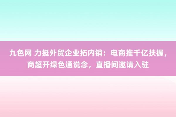 九色网 力挺外贸企业拓内销：电商推千亿扶握，商超开绿色通说念，直播间邀请入驻