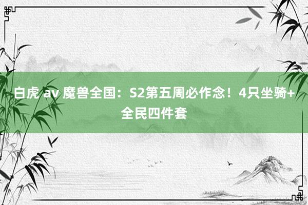白虎 av 魔兽全国：S2第五周必作念！4只坐骑+全民四件套