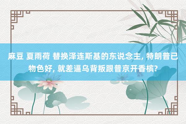 麻豆 夏雨荷 替换泽连斯基的东说念主, 特朗普已物色好, 就差逼乌背叛跟普京开香槟?