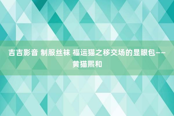 吉吉影音 制服丝袜 福运猫之移交场的显眼包——黄猫熙和