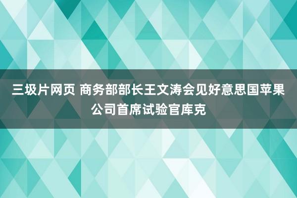 三圾片网页 商务部部长王文涛会见好意思国苹果公司首席试验官库克