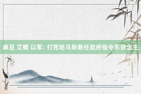 麻豆 艾鲤 以军: 打死哈马斯新任政府指令东说念主