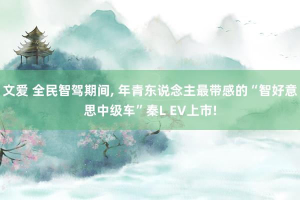 文爱 全民智驾期间, 年青东说念主最带感的“智好意思中级车”秦L EV上市!