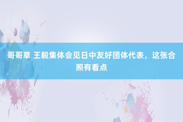 哥哥草 王毅集体会见日中友好团体代表，这张合照有看点