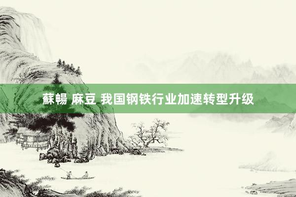 蘇暢 麻豆 我国钢铁行业加速转型升级