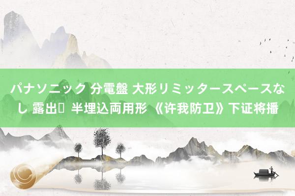 パナソニック 分電盤 大形リミッタースペースなし 露出・半埋込両用形 《许我防卫》下证将播