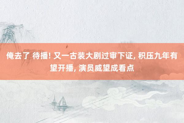 俺去了 待播! 又一古装大剧过审下证, 积压九年有望开播, 演员威望成看点