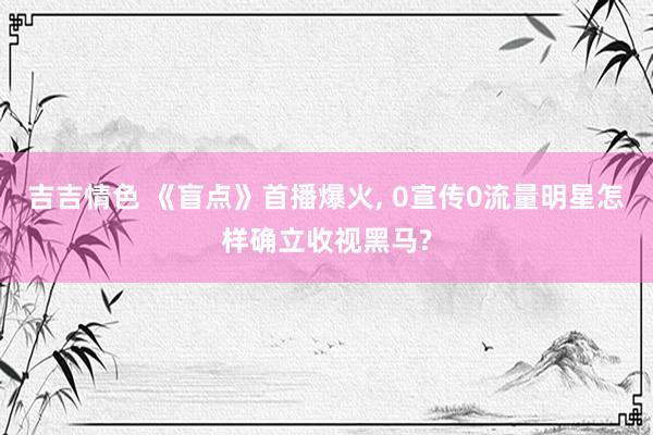 吉吉情色 《盲点》首播爆火, 0宣传0流量明星怎样确立收视黑马?