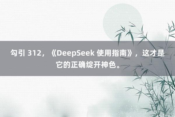 勾引 312，《DeepSeek 使用指南》，这才是它的正确绽开神色。