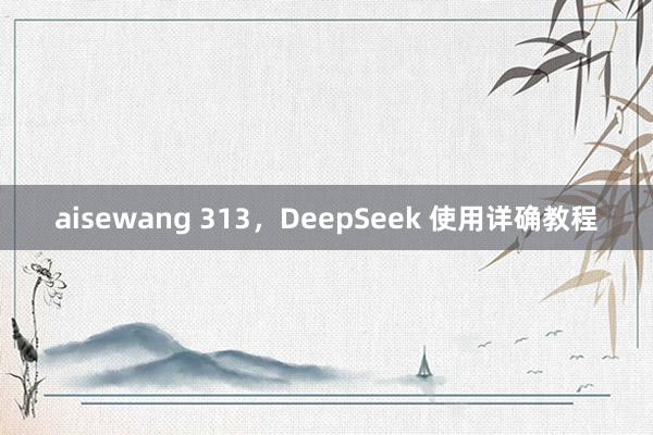 aisewang 313，DeepSeek 使用详确教程