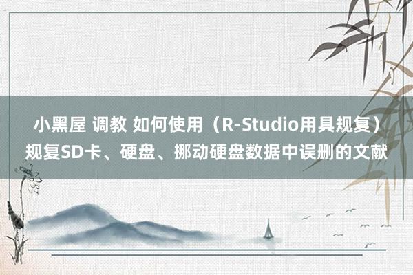 小黑屋 调教 如何使用（R-Studio用具规复）规复SD卡、硬盘、挪动硬盘数据中误删的文献