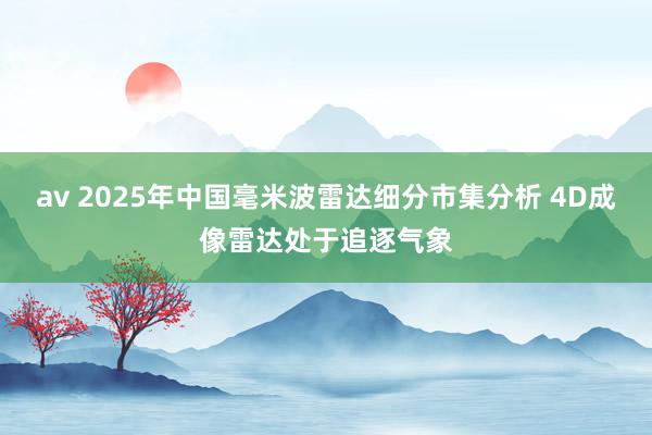 av 2025年中国毫米波雷达细分市集分析 4D成像雷达处于追逐气象