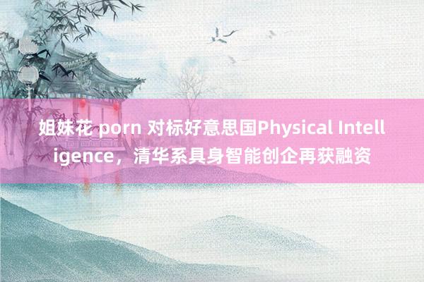 姐妹花 porn 对标好意思国Physical Intelligence，清华系具身智能创企再获融资