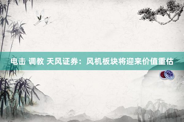 电击 调教 天风证券：风机板块将迎来价值重估