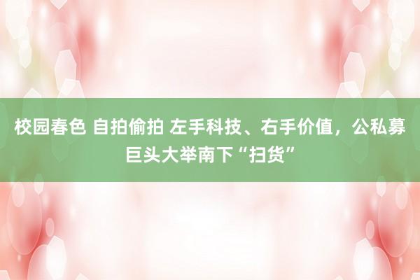 校园春色 自拍偷拍 左手科技、右手价值，公私募巨头大举南下“扫货”